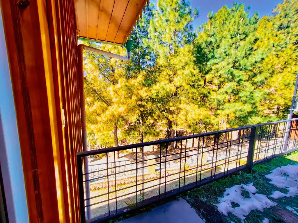 Наинитал: The Himalayan Living Whistling Pines