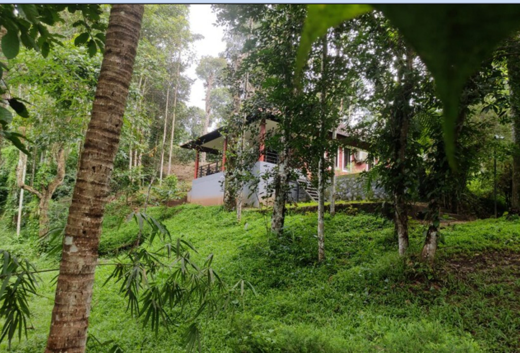 Минангади: Wayanad Timber Creek Resort