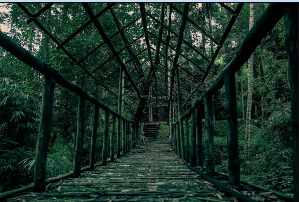 Минангади: Wayanad Timber Creek Resort