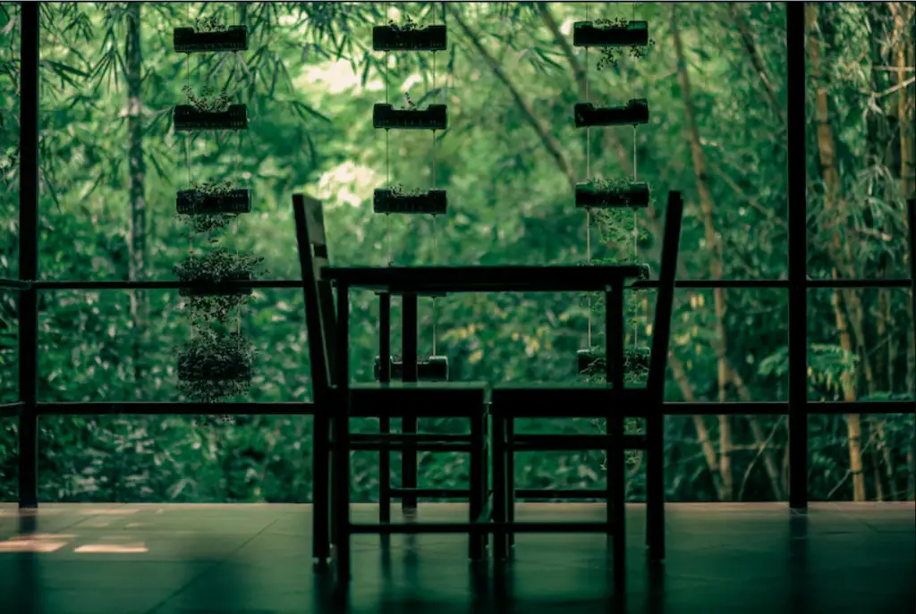 Wayanad Timber Creek Resort — фото 1
