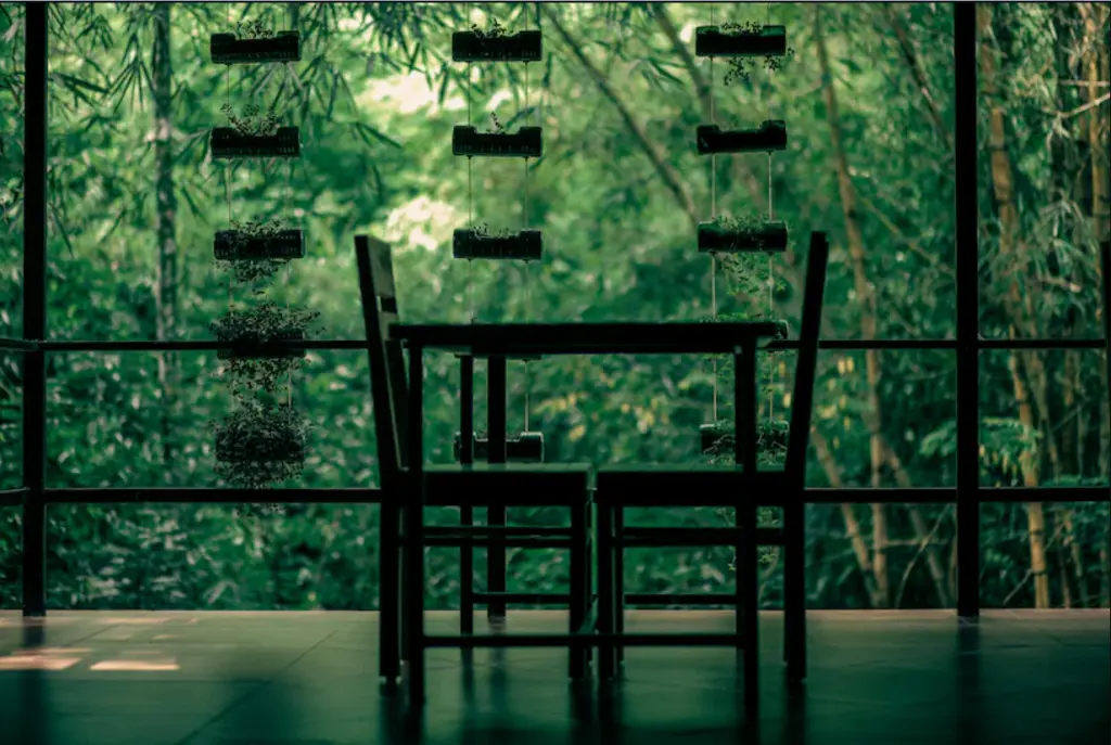 Минангади: Wayanad Timber Creek Resort