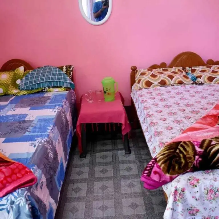 Джиоти Гаон: Homocation Ray Homestay