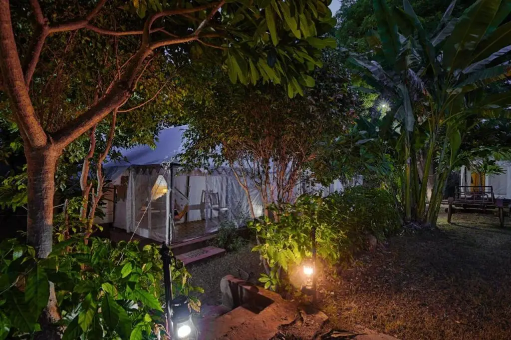 Савай-Мадхопур: Ranthambore Tiger Resort