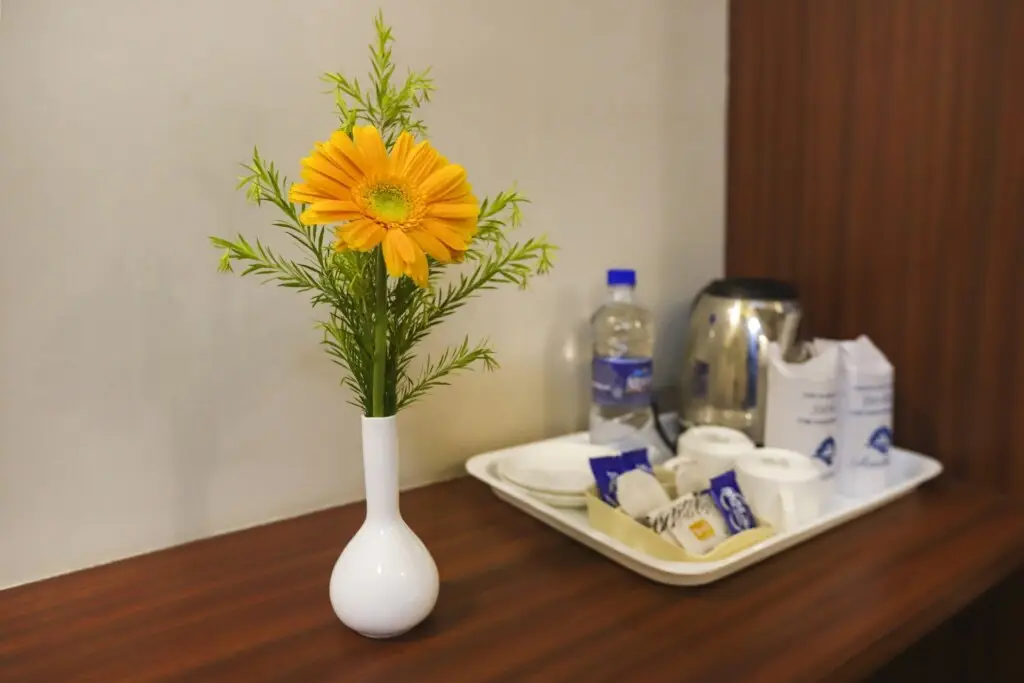 Варанаси: Townhouse OAK Hotel Aditya Residency