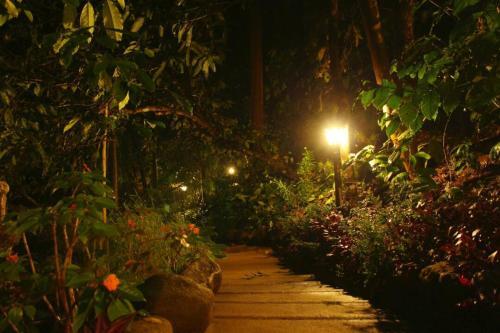 Jungle Retreat Wayanad — фото 1