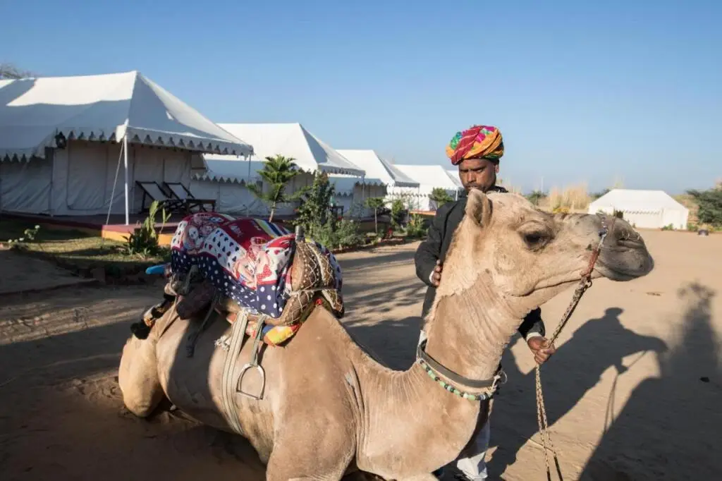 Аджмер: Pushkar Adventure Camp And Camel Safari