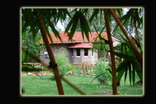 Панпата: Mogli Jungle Resort