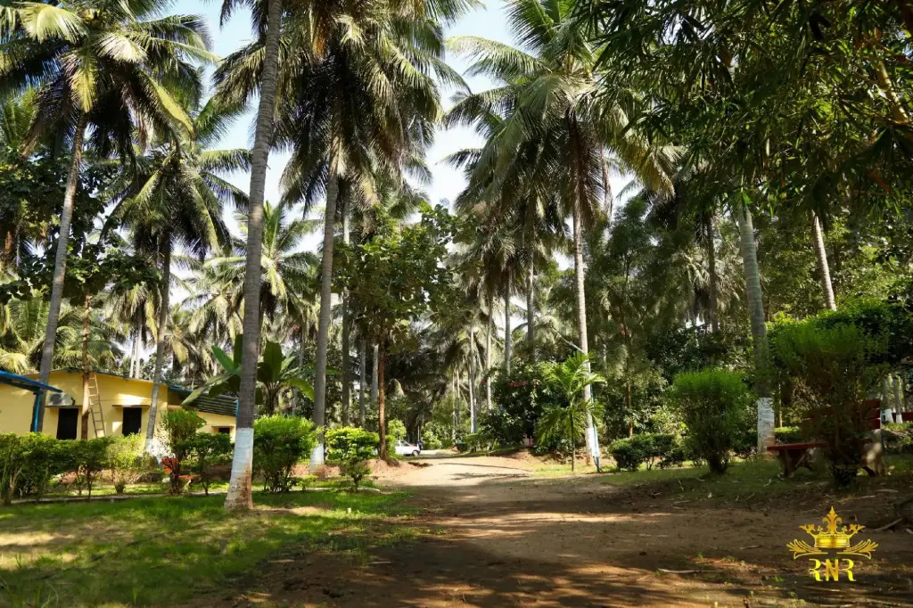 Royal Nature Resort — фото 1