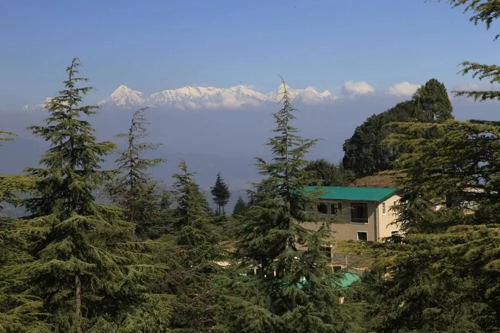 BluSalzz Escapade Anant Rasa, Shitlakhet - Ranikhet — фото 1