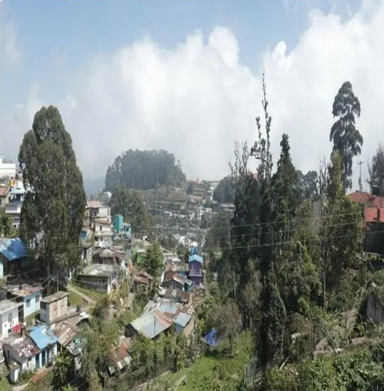 Кодайканал: Hotel Sharma Residency Kodaikanal