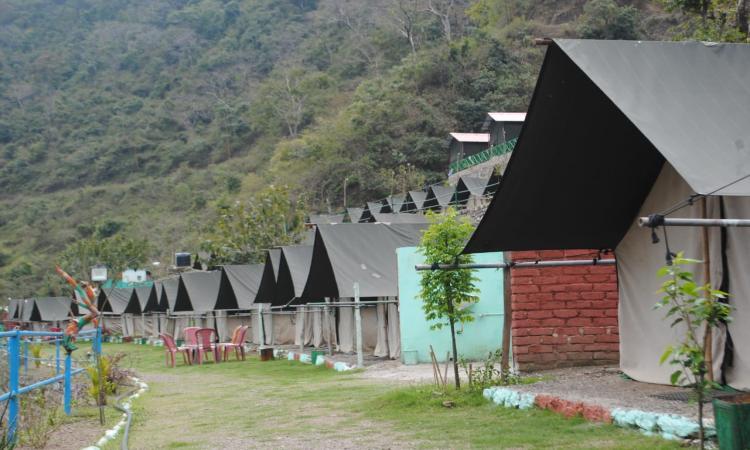 Mountain View Tent — фото 1