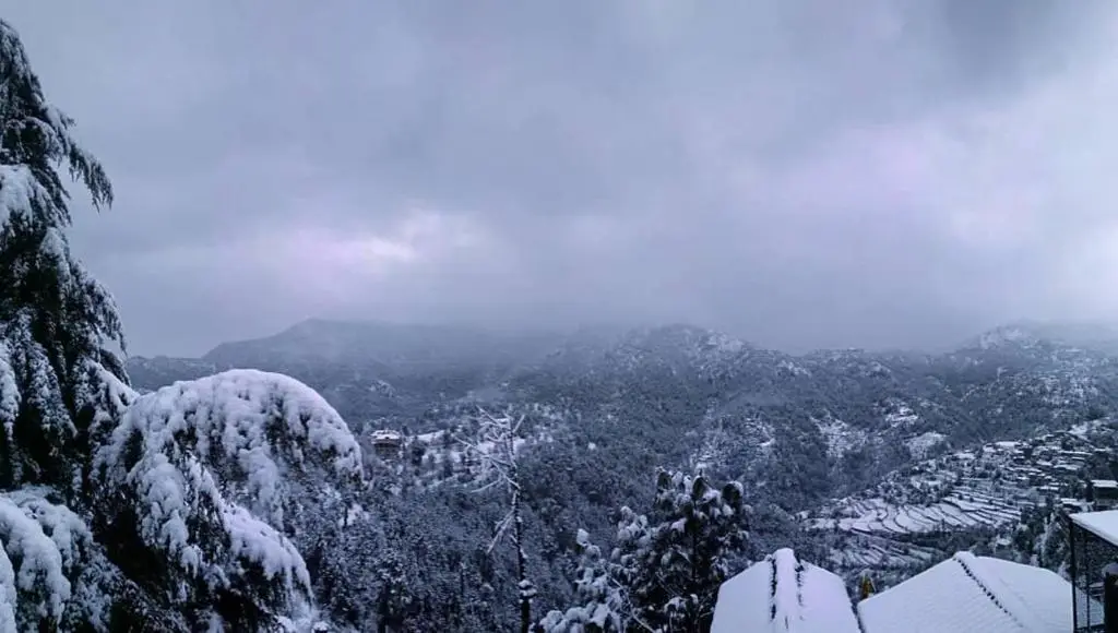 Шимла: Village View Homestay Shimla