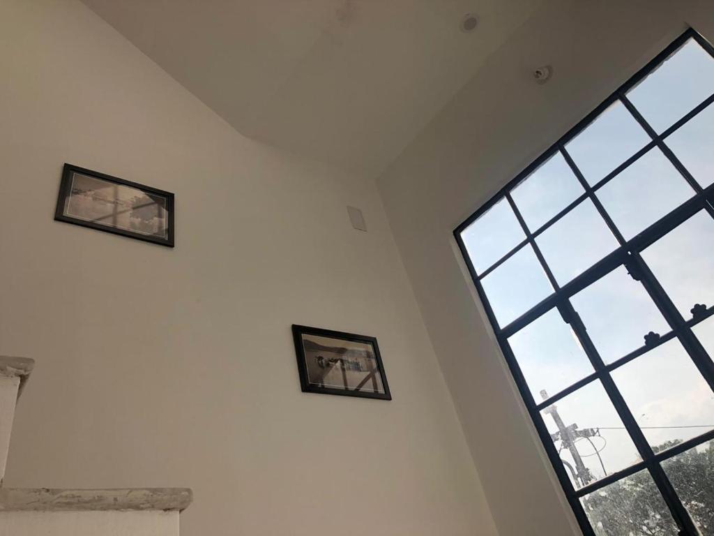 Удаипур: Hostel Nirvana
