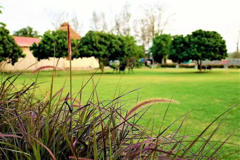 Наинитал: Cygnett Resort Alaya Jungle Safari