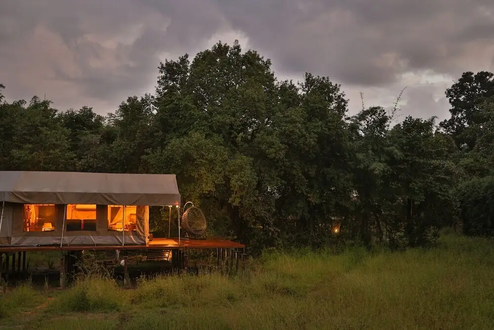 The Untamed Bandhavgarh by TUTC — фото 1