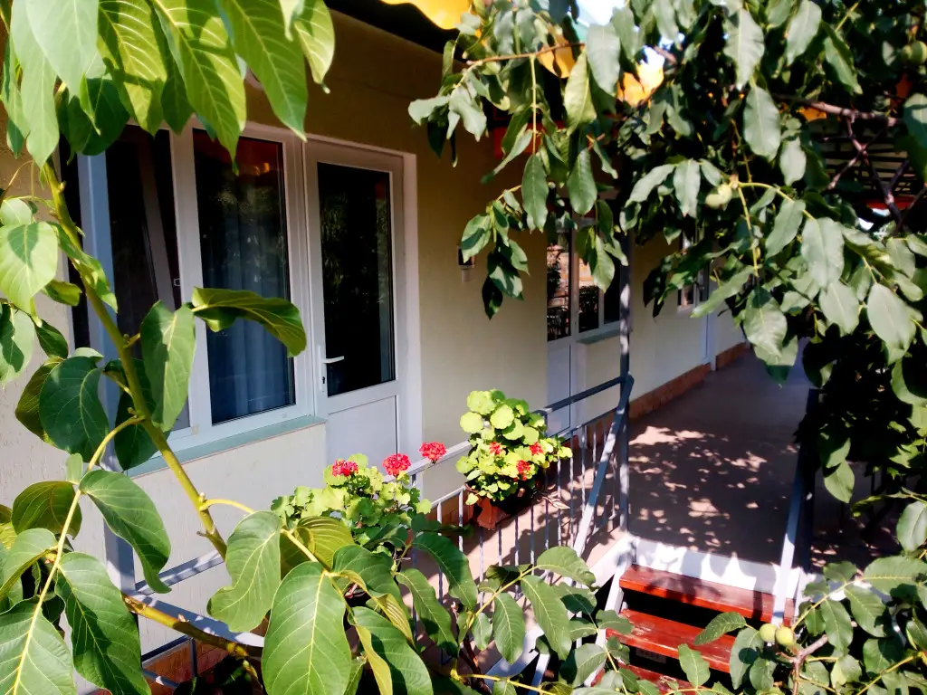 Судак: Guest House Prokhlada