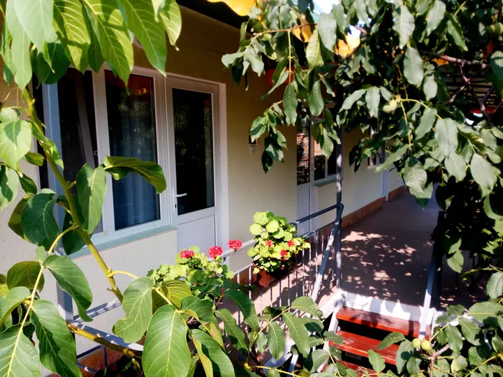 Судак: Guest House Prokhlada