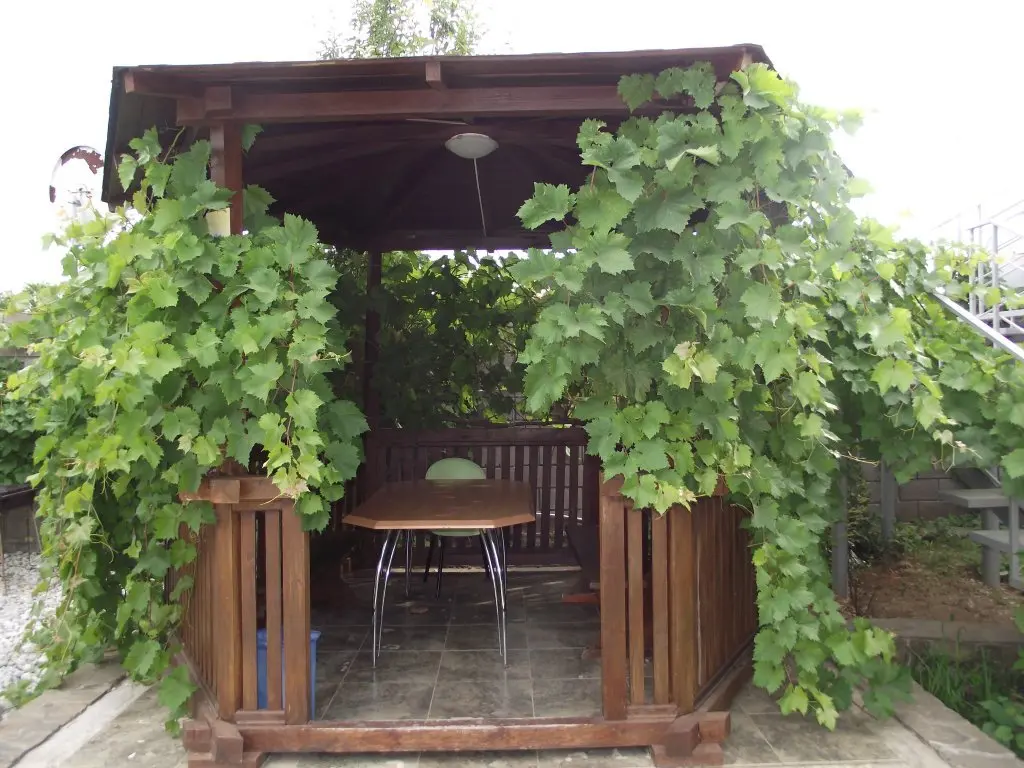 Севастополь: Guest house Akvila