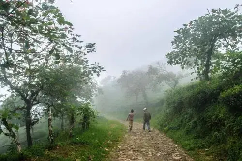 Курсеонг: Vamoosetrail Mahal Diram