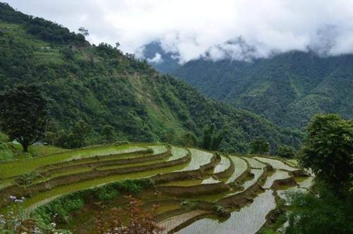 Калимпонг: Yakten Paradise Homestay
