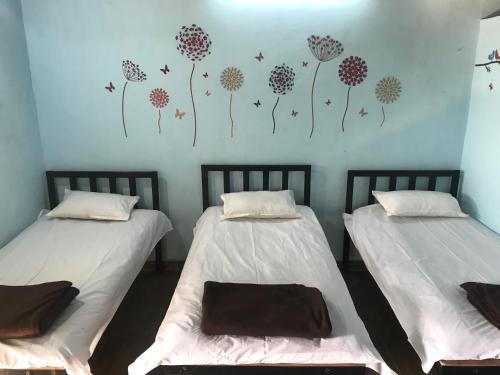 Хандала: Green Fog Guesthouse