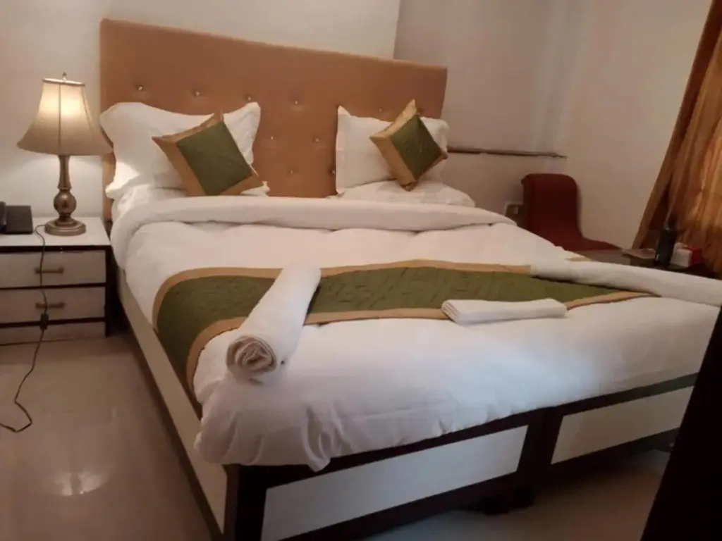 Нью-Дели: Shyam Palace Guest House