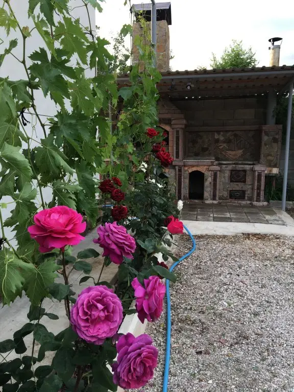Судак: Guest House Perchem Sudak