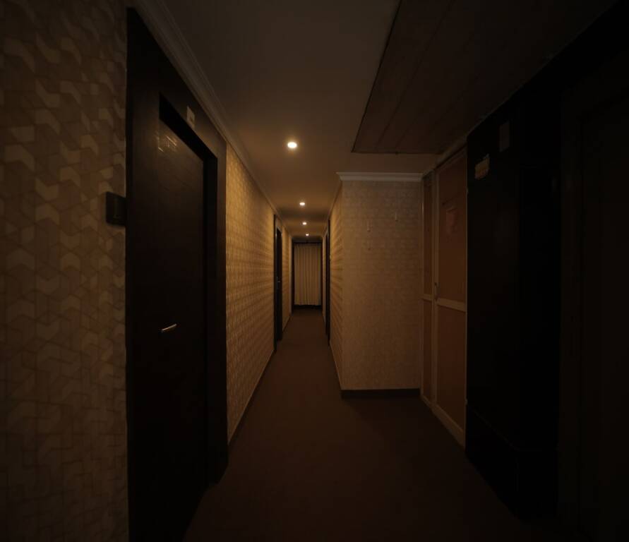 Ченнаи: Adhava Park Inn