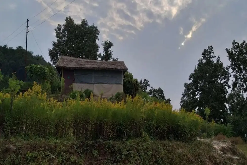 Наинитал: Goroomgo Whistling Woods Camp Nainital