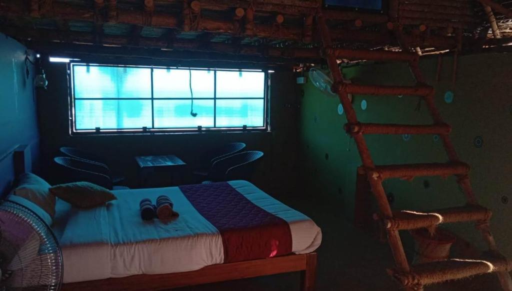 Калапет: Rainbow Residency ECR