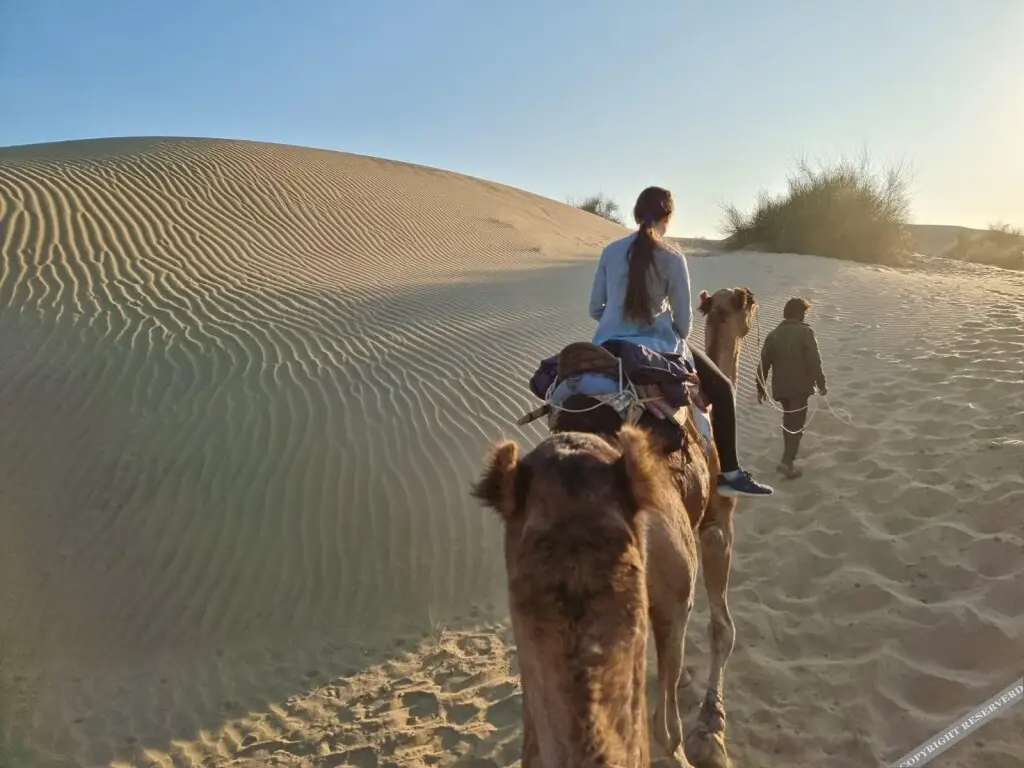 Джайсалмер: Hotel Kings Villa Jaisalmer