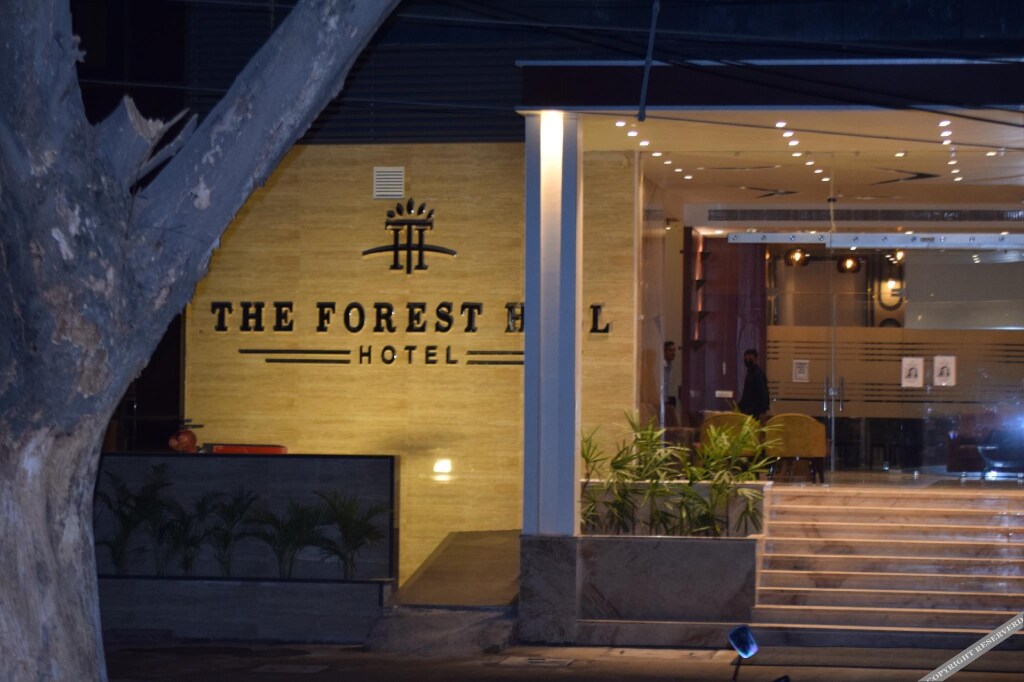 The Forest Hill Hotel — фото 1