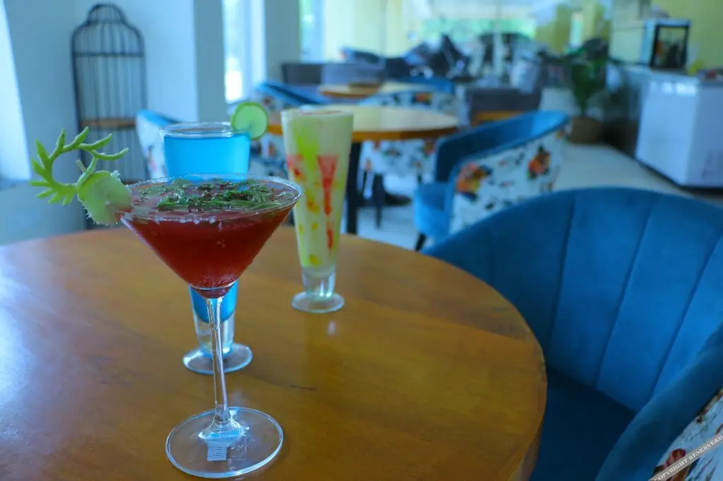 Райпур: Tulip Arena Hotel Club Event By SGL