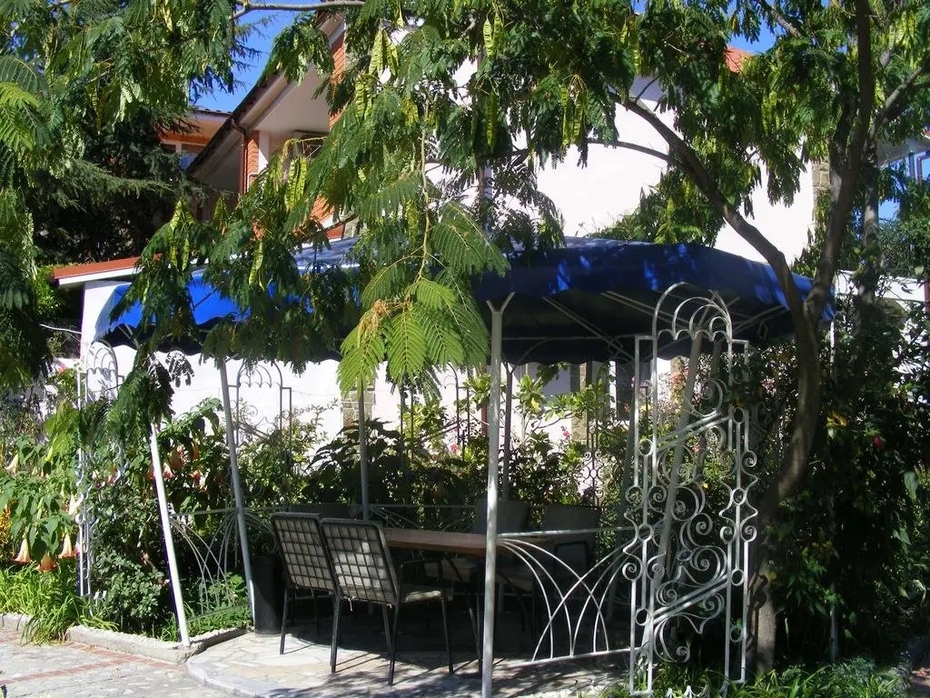 Коктебель: Villa Lira Guest House
