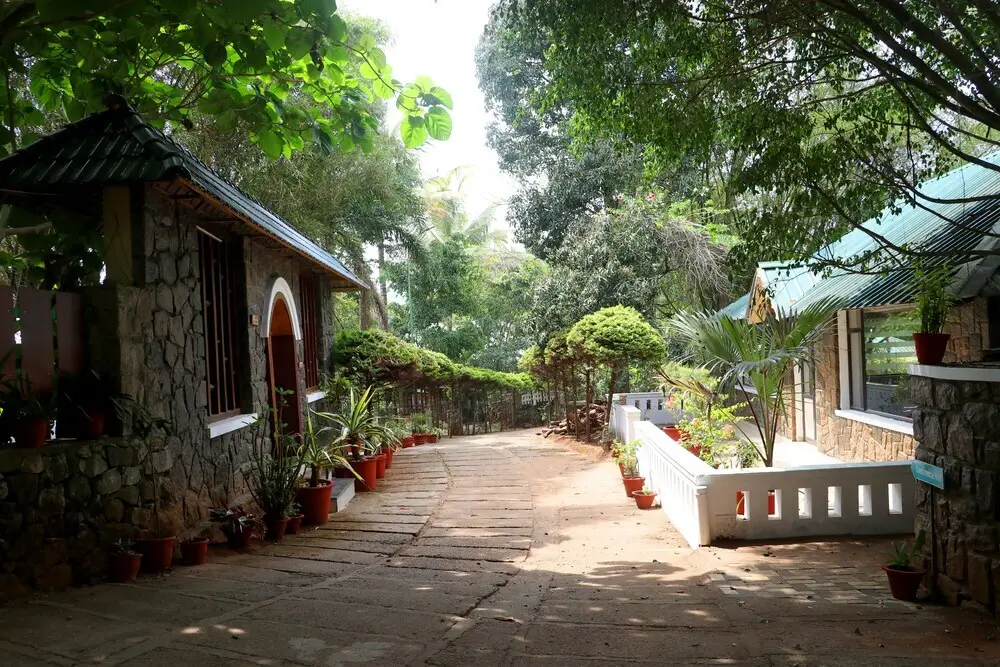 Spring Muunnar — фото 1