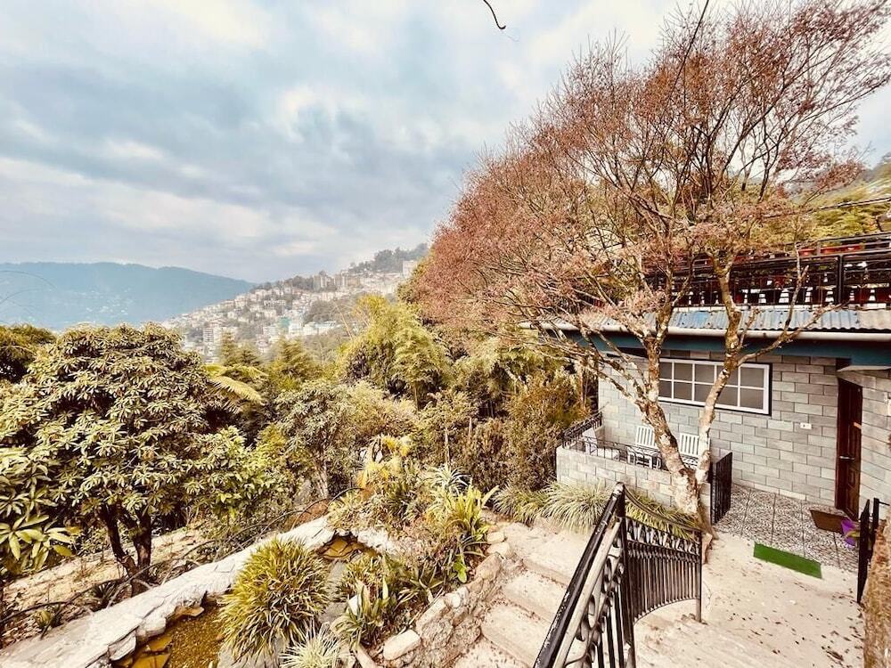 Cherry Guest House — фото 1