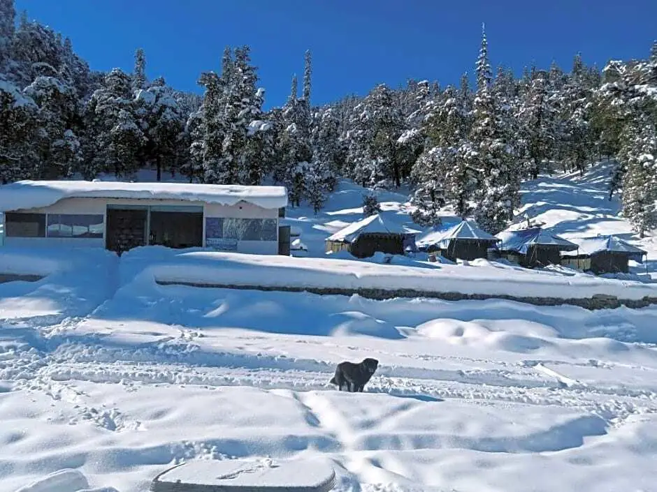 Чамоли: Sun and snow camp
