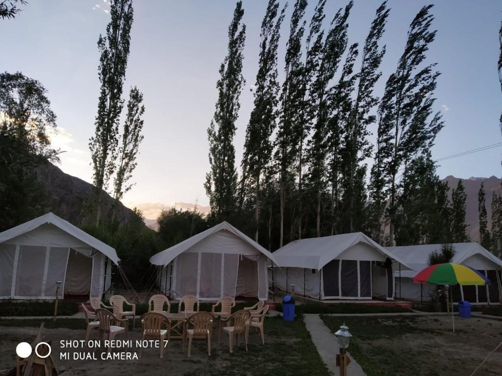 Lumbini Camp- Nubra Valley — фото 1