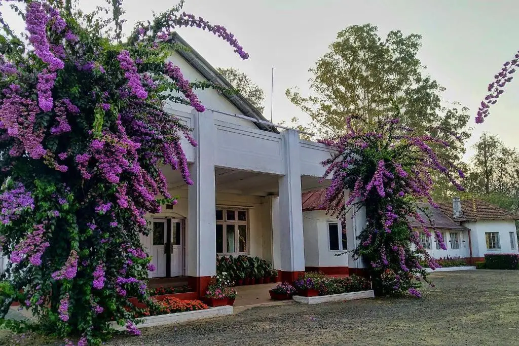 Munnar Tea Bungalow — фото 1