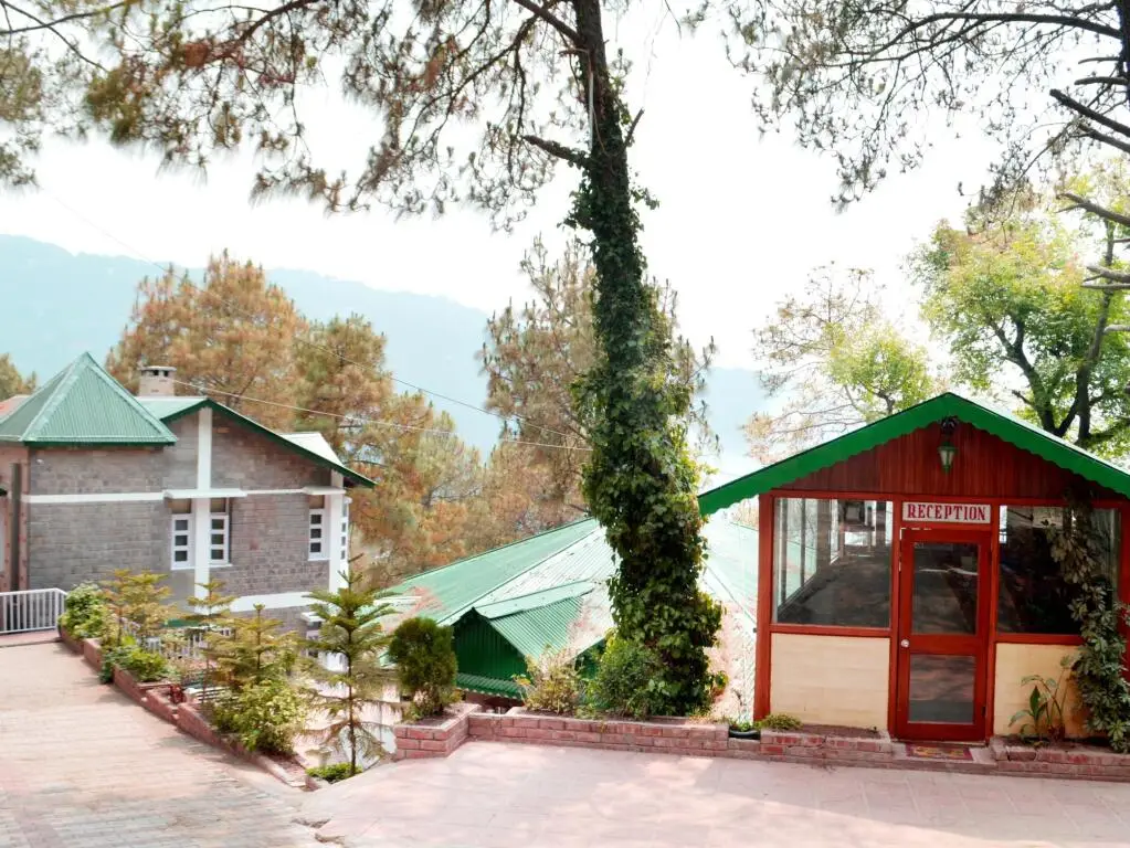 Казаули: Blossom Resort Kasauli
