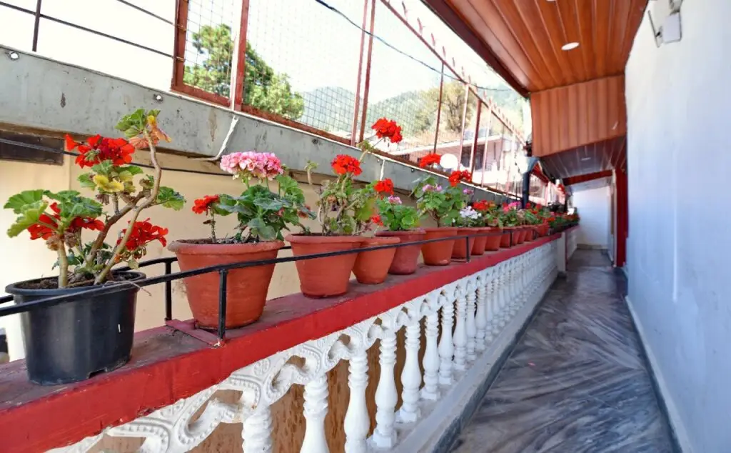 Наинитал: Wooden Paradise Nainital By OYO Rooms