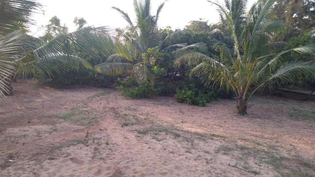 Калангут: CalanguteBeachHouse