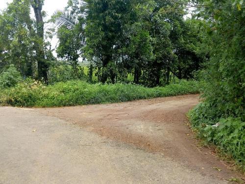 Салигао: Saligao Farm Cottages