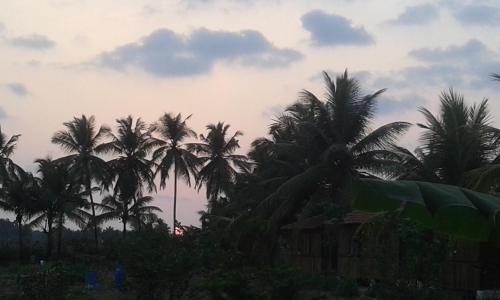Салигао: Saligao Farm Cottages