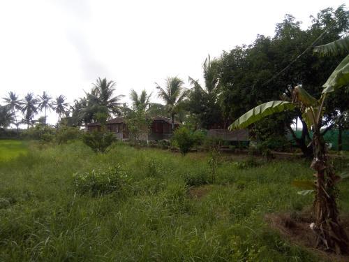 Салигао: Saligao Farm Cottages