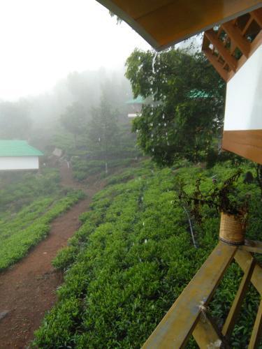 Vythirihills Nature Resort — фото 1