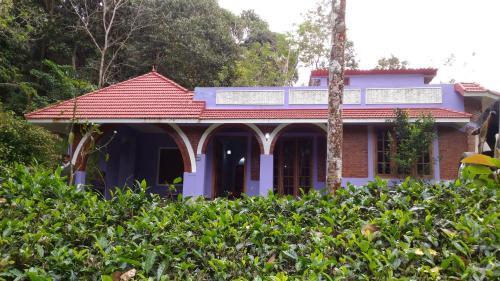 White Tea Estate House — фото 1