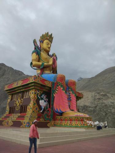 Organic Boutique Inn Nubra Hunder — фото 1