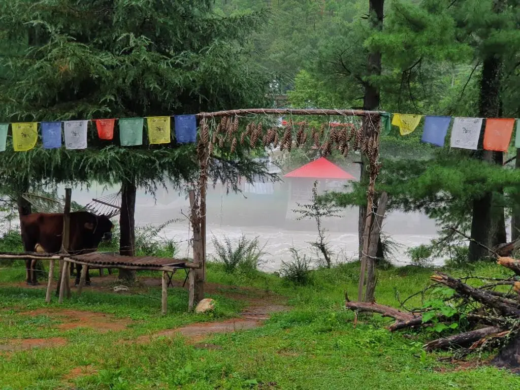 Касоль: Himtrek Riverside Camps, Kasol