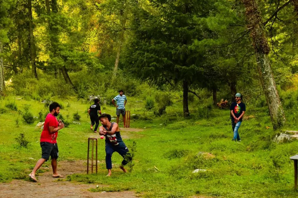 Касоль: Himtrek Riverside Camps, Kasol
